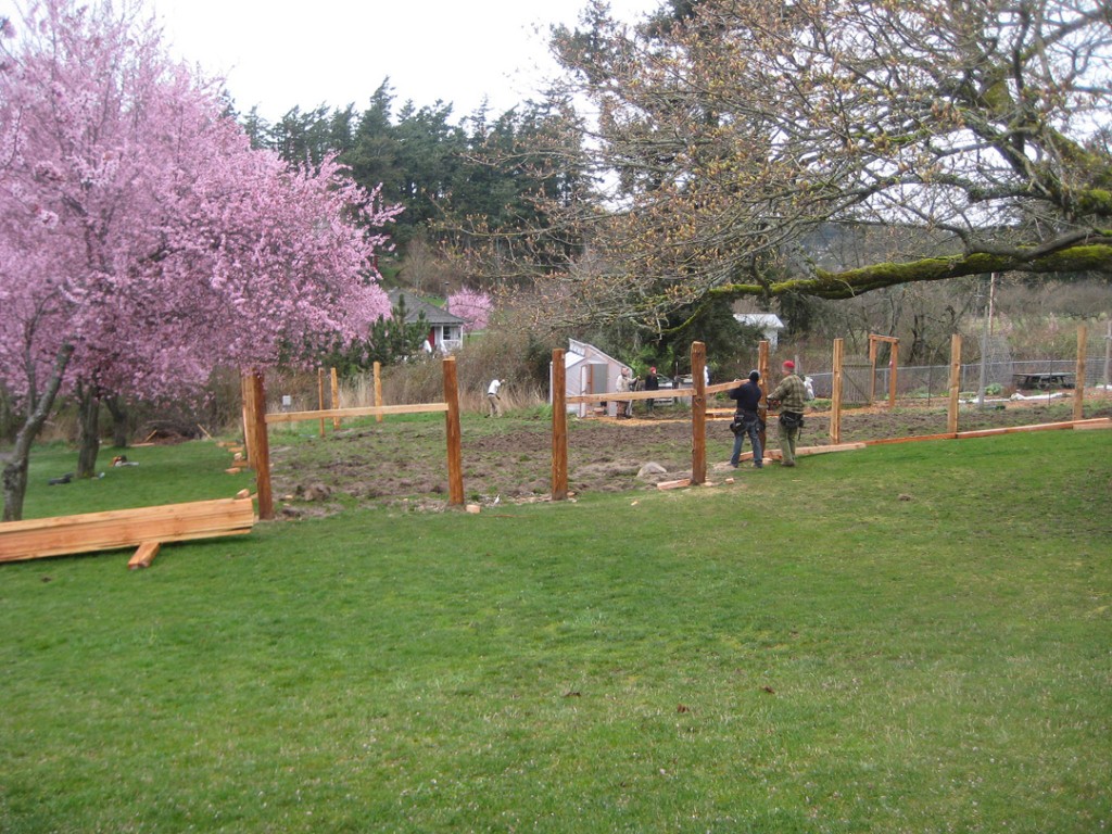 School Garden