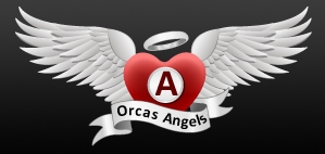 Orcas Angels-logo-black-backgrnd