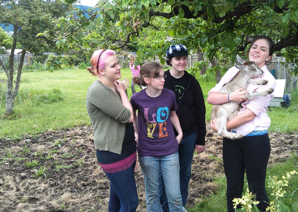 feast kids and baby goat