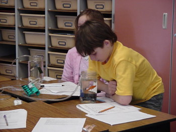 Studying salmon, counting gulps, with support from the San Juan Nature Institute 