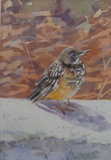 Robin, a watercolor by Jacquelyn Kempfer