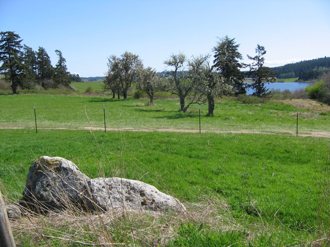 San Juan Valley. Photo courtesy of the Land Bank