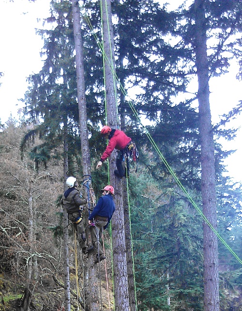 In am aerial rescue exercise, Keegan Cookston, portraying an injured worker, is aided by Phoenix Welty in the blue jacket. Jeff Wakefield looks on