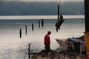 DNR contractors remove a derelict dock and creosote-treated pilings from Judd Cove, Orcas Island. Photo by Lisa Kaufman, DNR.