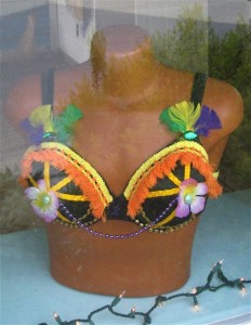 The "Mardi Gras" bra by Sadie Bailey.