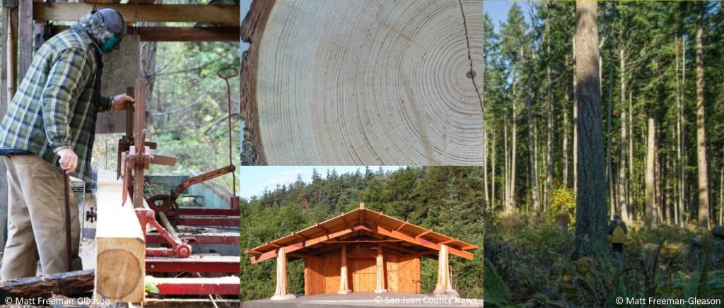 Get to know the forests and wood products that call Orcas Island home.