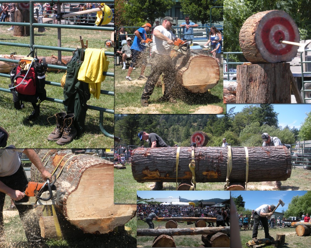 Harvey Family Log Show.  Old logging demonstrations as well as a friendly competition with cross saws, axes, and chainsaws.  "buck one off", "You wanna make the smallest biscuit you can!" and "Come up and compete with some out of shape loggers." was being thrown all around the arena by Rich Harvey.  