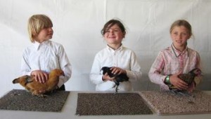 Island Hardware & Supply has agreed to donate chicken and rabbit food for > 4-H Project animals. > > The 4-H kids will take and show a variety of animals including chickens, > rabbits, cavies, sheep, goats and cows starting Wednesday, Aug 14th through > Saturday, Aug 17th at the San Juan County Fairgrounds in Friday Harbor.Island Hardware & Supply has agreed to donate chicken and rabbit food for 4-H Project animals.