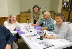 Volunteers participate in previous COASST training.