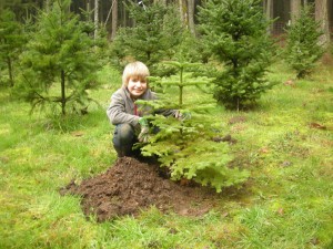 When you buy a tree from Salmonberry, you will be supporting the programs and the students of Salmonberry School