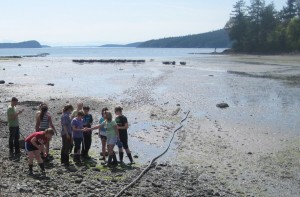 What's a better way to learn about oysters than to go where they are.