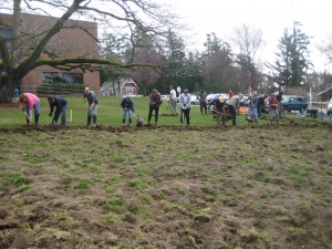 Many hands and backs turned a lot of soil