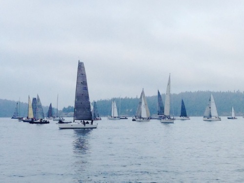 Round the County Race.  Photo courtesy of Stephen Hulley,  Rear Commodore, Orcas Island Yacht Club