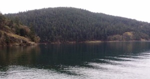 Thatcher Bay after creosote removal