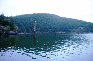 Thatcher Bay before creosote removal.