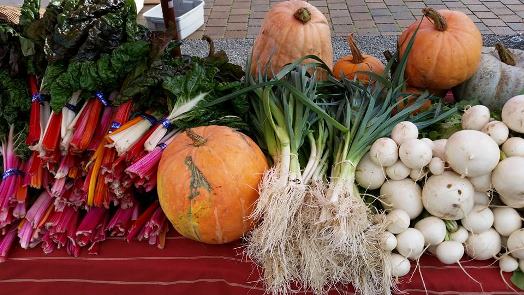 Healthy, beautiful produce at the Maple Rock Farm stand at Odd Fellows Hall.