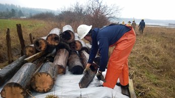 Crews remove creosote logs to protect marine environment