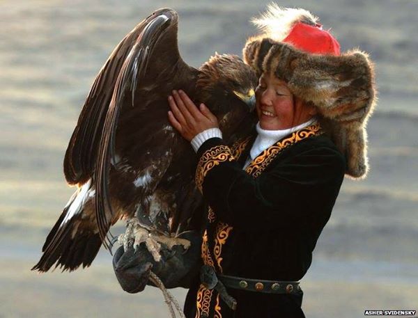 Golden Eagle huntress Kazakh people of Mongolia 13 year old daughter of famed hunter, use eagles for foxes, and other prey.