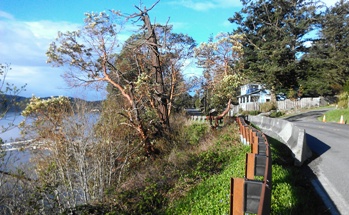 Embankment sluffing near the West Sound road intersection has created a "slump" that Public Works is now addressing