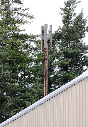 OPALCO pole with roofline