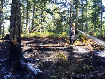 Illegal campfire on Turtleback Mountain threatens Land Bank/public property