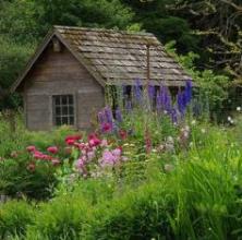 Five beautiful gardens at the Orcas Island Garden Club tours this weekend