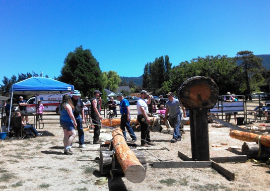 The Harvey Family Logging Show drew out the HIstorical Days Fair to the Village Green on July 3