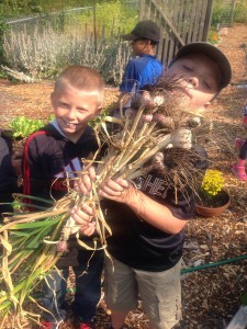 "Open Garden Gate Thursday" bounty