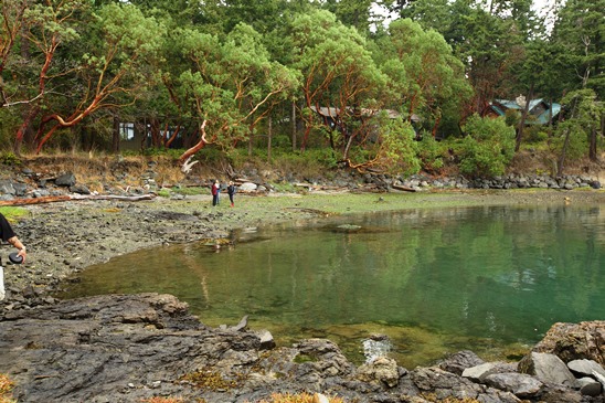 The beach on Brown Island