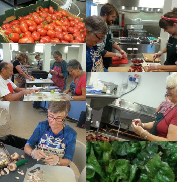 Farm to Cafeteria volunteers process the harvest of island farms