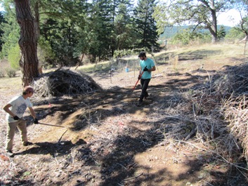 Land Bank Seed Saving project 