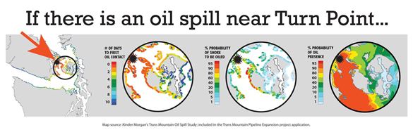 Graphic of oil spill impacts by Shaun Hubbard