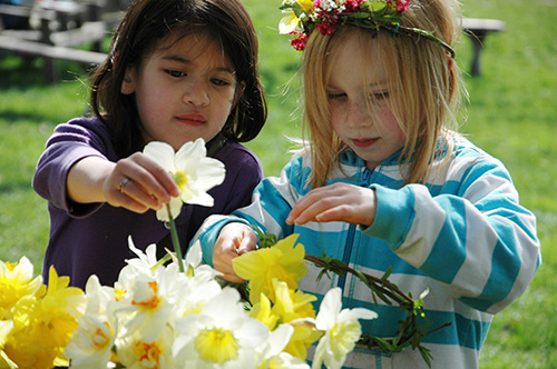 salmonberry_daffodils