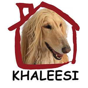 Khaleesi