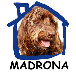 Madrona