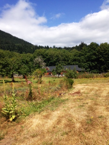 Island Thyme Farm, near Olga