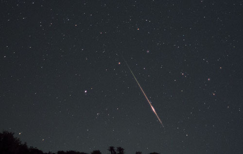 Perseids