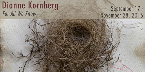 kornberg-banner-1280x640