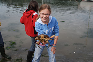 hanna-and-dungeness-crab-may-2008-deer-harbor-beach-seine