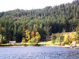 Judd Cove from East Sound