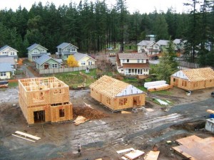 OPAL's Phase II of Wild Rose Meadow homes. Photo courtesy of Terra Firma