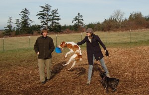 Andrew Youngren, Emily Smith and Riley live it up at the Off-Leash Area. Photo courtesy of Tony Morales