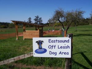 new shelter being built at the popular Eastsound off-leash dog area.