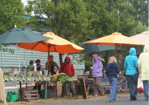 The Orcas Island Farmers Market will be on Prune Alley the first three Saturdays in May