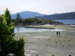 Indian Island at low tide last month. This beach in Eastsound is one of the few public access beach locations on Orcas Island.