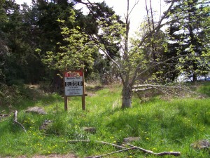Madrona Point, closed by the Lummi Nation, after complaints of desecration of the tribal cemetery there.