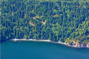 The shoreline property adjacent to Moran Park, provides the only accessible shoreline beach to park visitors